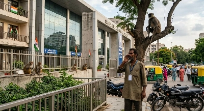 What we know about No monkey business: India ‘whisperers’ guard world championships