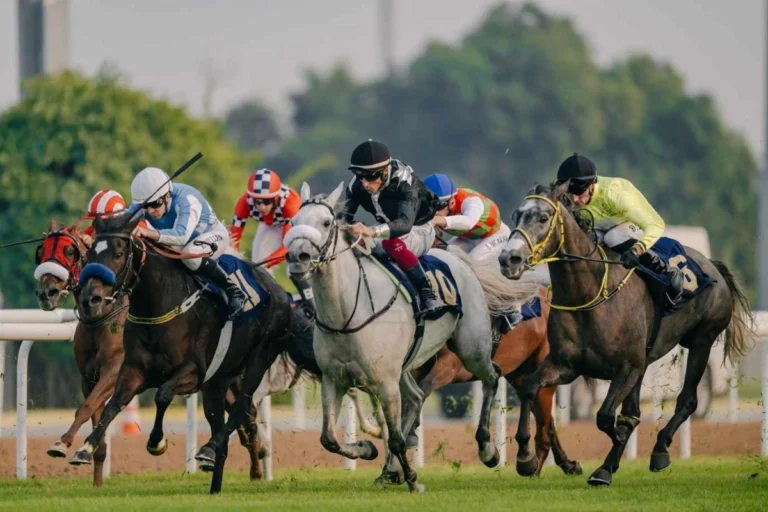 UAE Racing Season Starts as Abu Dhabi Marks Golden