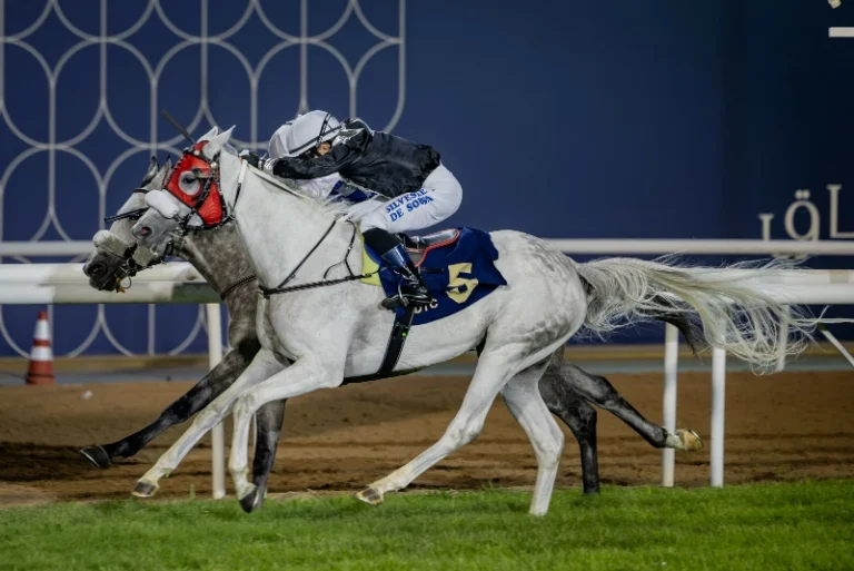 RB Boujee Triumphs at UAE Racing Season Opener